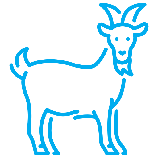 goat (1)