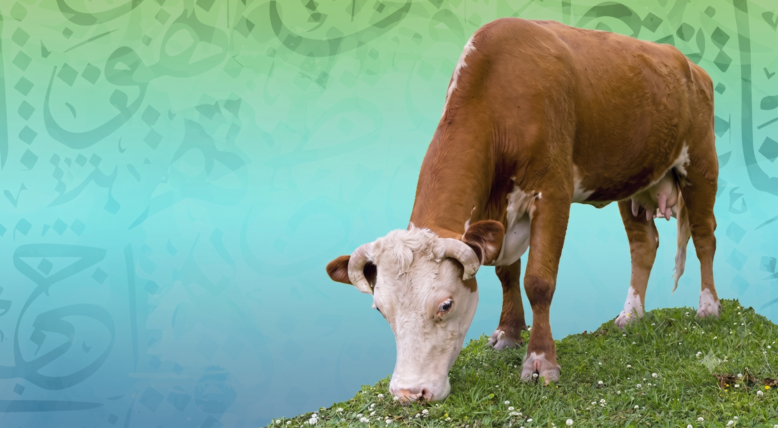 card-header